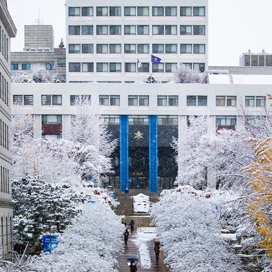 숙명 캠퍼스에 내린 첫눈❄